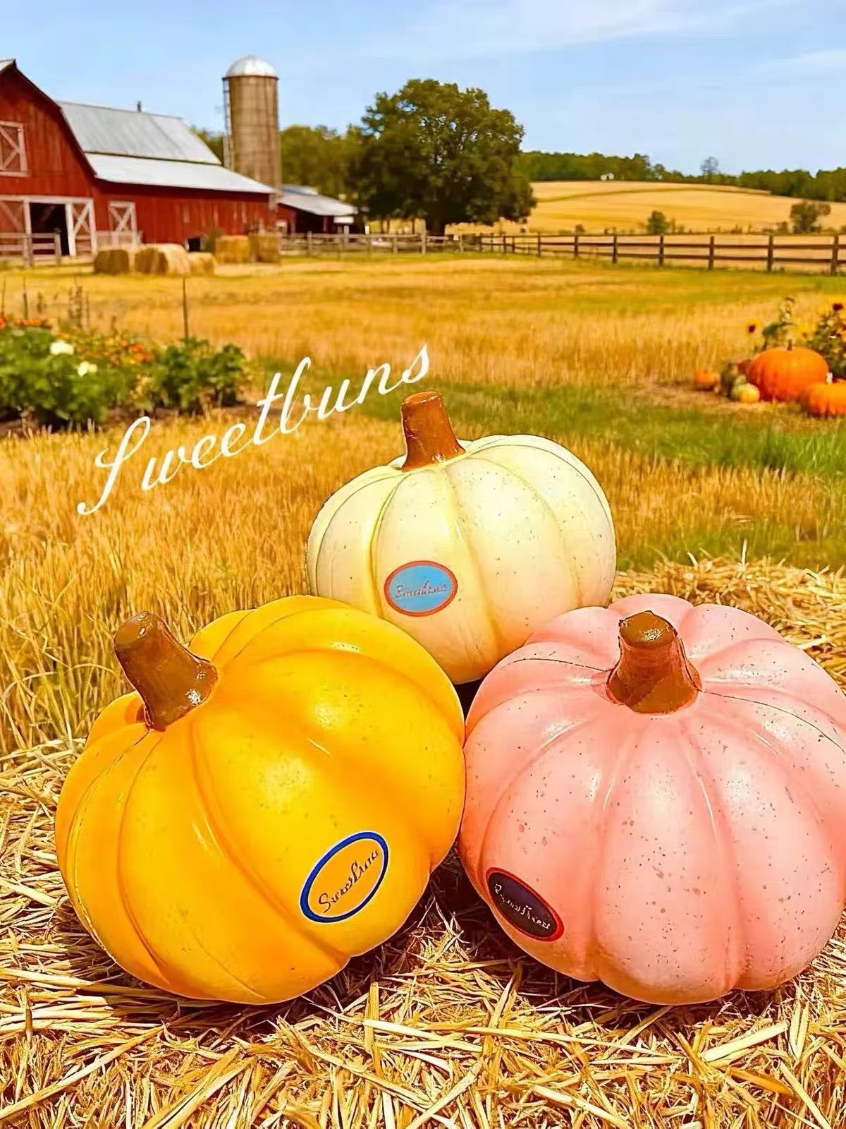 🎃 Halloween Pumpkin — 3-Color Collection [Sweetbuns]